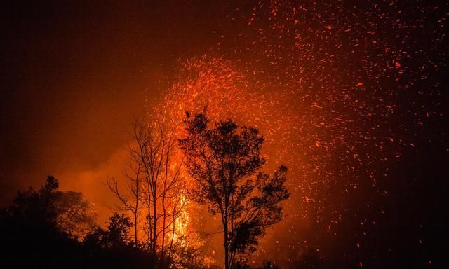 如果把地球上的所有沙漠，都变成森林会怎么样？代价恐难以承受