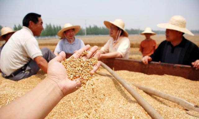 河南浚县北部一带习俗：每年六月，姥爷送羊给外甥的来历