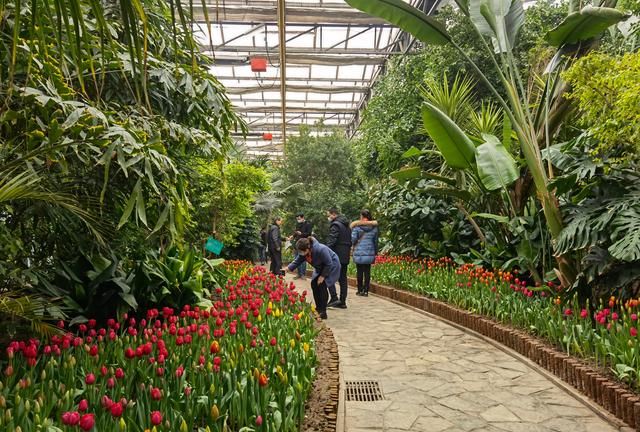 北方最大的曹庄花卉市场盛装启航，打造世界花卉大观园