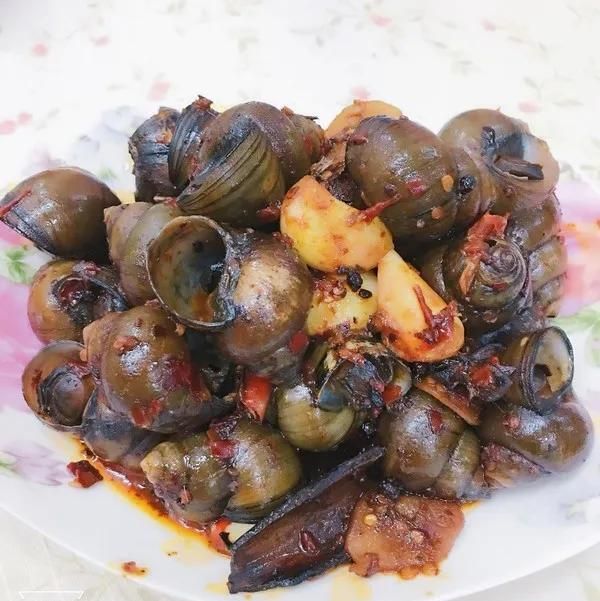 一口6000条寄生虫，印度特爱吃的福寿螺，中国为何不出口？