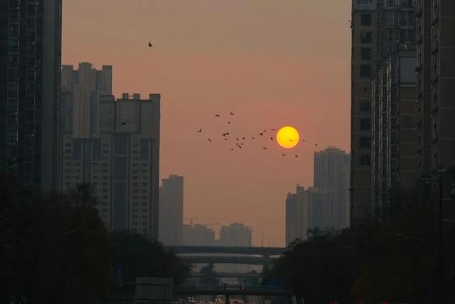 太美！冬至前，成都“悬日”再现