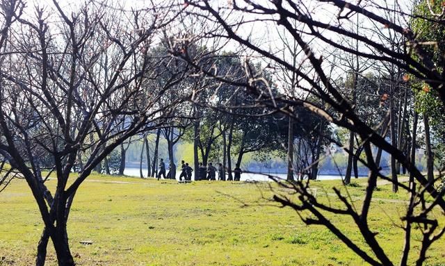 嘉兴的网红桥空中走廊 曾挤爆朋友圈 大自然和现代建筑的结合