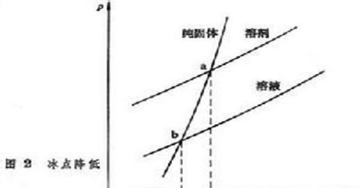 冬天洗冻梨后，为什么梨的的内部解冻反而外表结冰了？