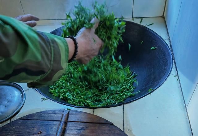 纯手工绿色无污染的绿茶采摘、制作过程