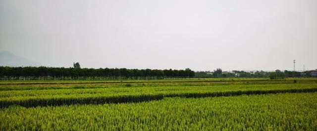 去郑国渠旅游的人，有几个去过真正的“天下第一渠”的渠首