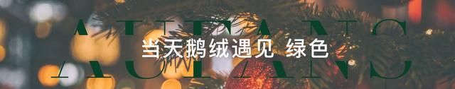 你挚爱的“圣诞色”是什么？