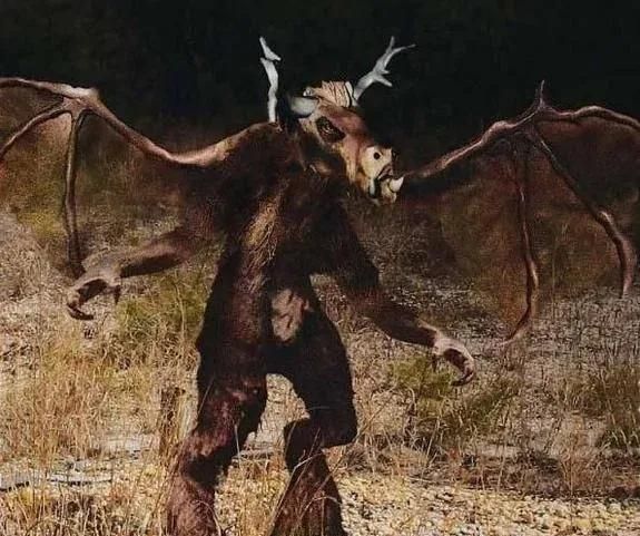 出没于美国新泽西州松林荒原的神秘生物——泽西恶魔