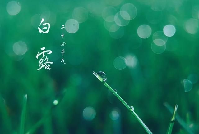 兔年健康月历来了！农历1月-12月，不同节气各有重点！收藏对照，健康一整年！