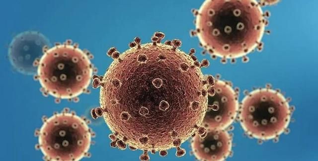 世界10大恐怖病毒：埃博拉榜上有名，新冠病毒位列其中