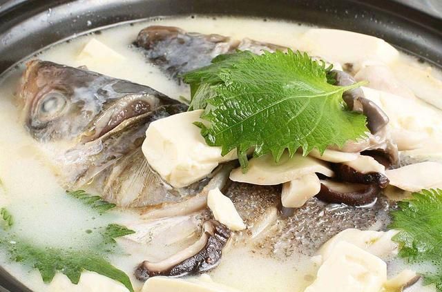 炖鱼头汤，不要再加豆腐，加芋头，喝一口，再也不念鱼头豆腐汤