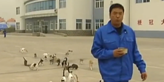 09年，辽宁粮仓遭遇特大鼠患，员工将猫咪训练成兵，开展猫鼠大战