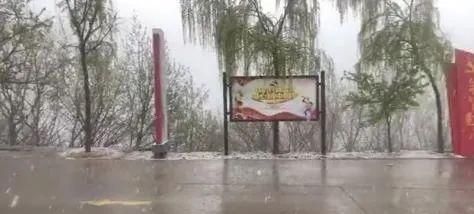 鹅毛大雪、冰粒、雨凇！听说郑州下冰雹了？专家：是霰（xian）