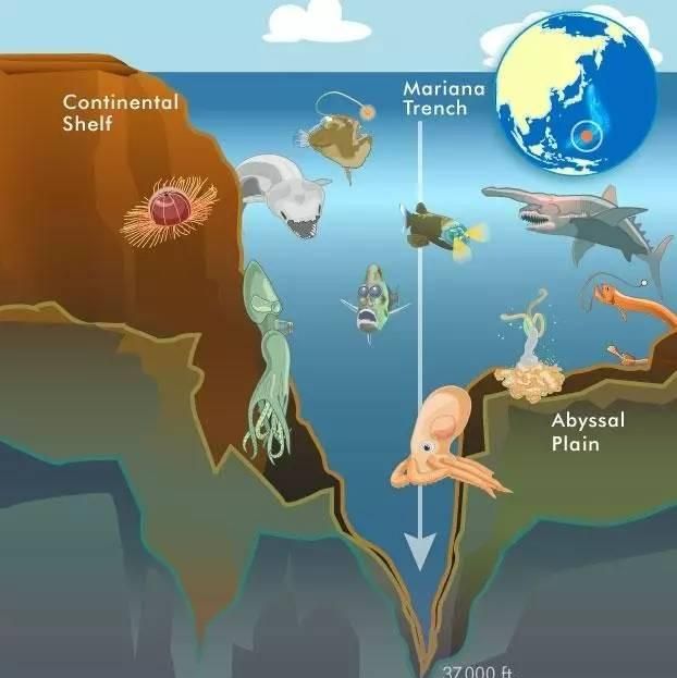 海洋到底有多深？人类全然不知