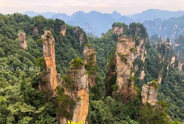 以湖南张家界为例，分享详细旅游计划的制定过程，过来抄作业吧