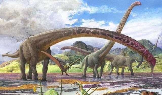 史上脖子最长的恐龙，长度可达17.5米，就在我国！为何能长这么长