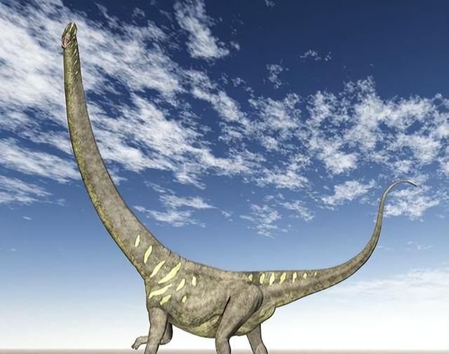 史上脖子最长的恐龙，长度可达17.5米，就在我国！为何能长这么长