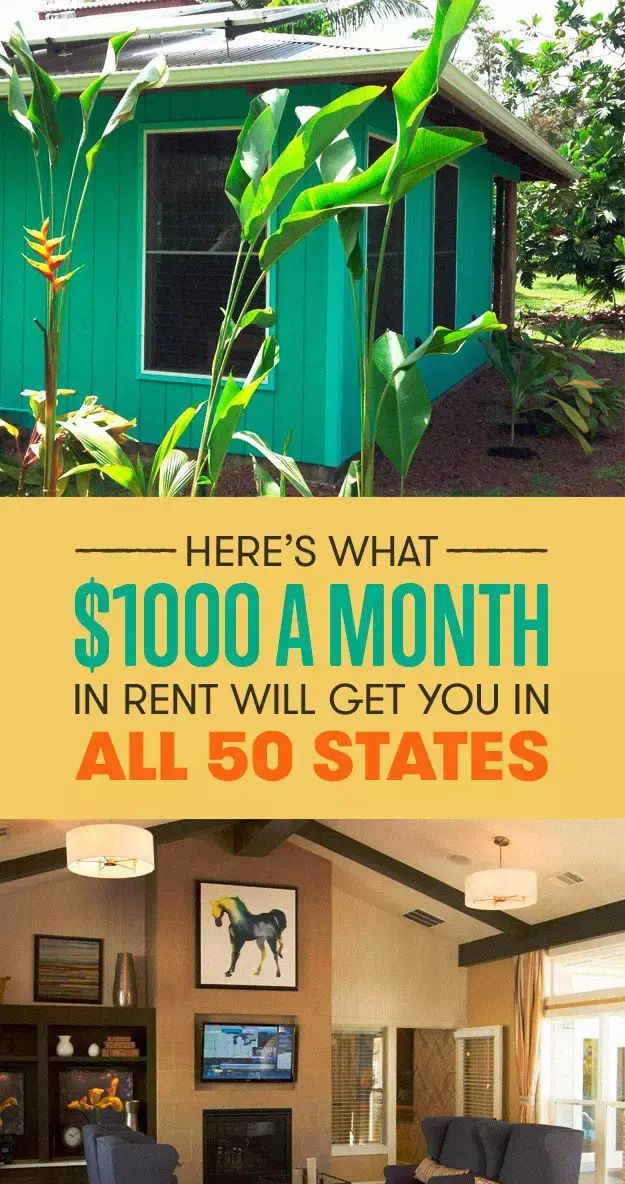 1000美元，在美国各州能租到什么样的房子？