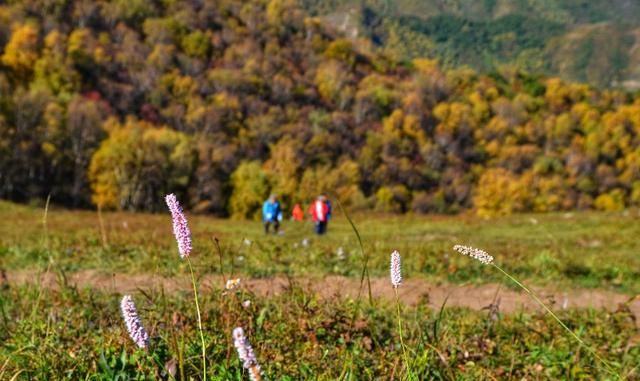 我攀登过的北京周边最具有原生态景色的十座山峰