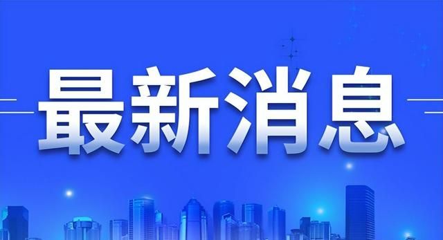 威海荣成：大天鹅迎来最佳观赏期