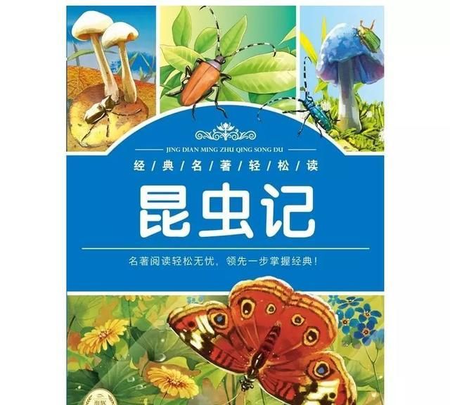 初中部编语文名著导读：《昆虫记》科普作品的阅读（附真题测试）