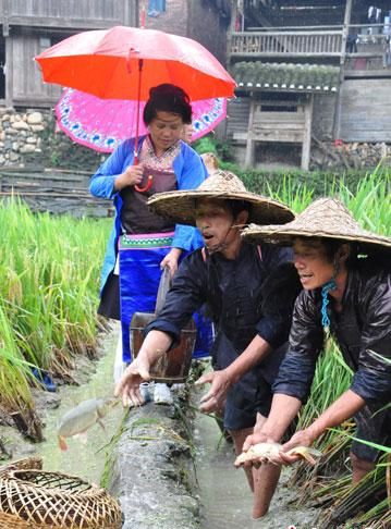 收获季！盘点贵州庆丰收习俗