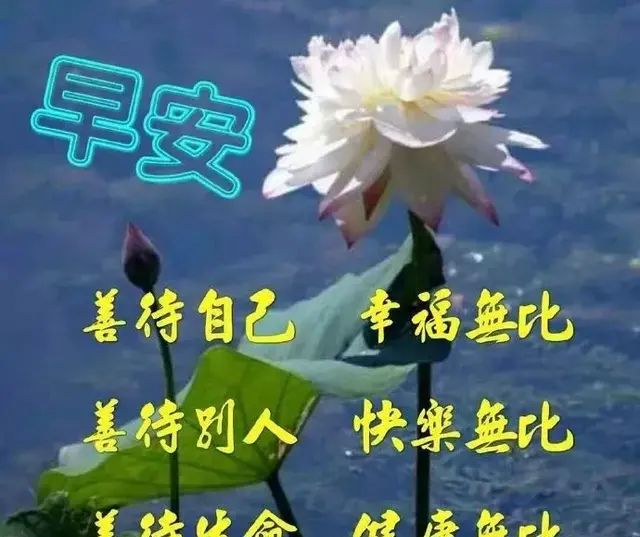 心累时，换个角度看世界；压抑时，换个环境深呼吸，早安