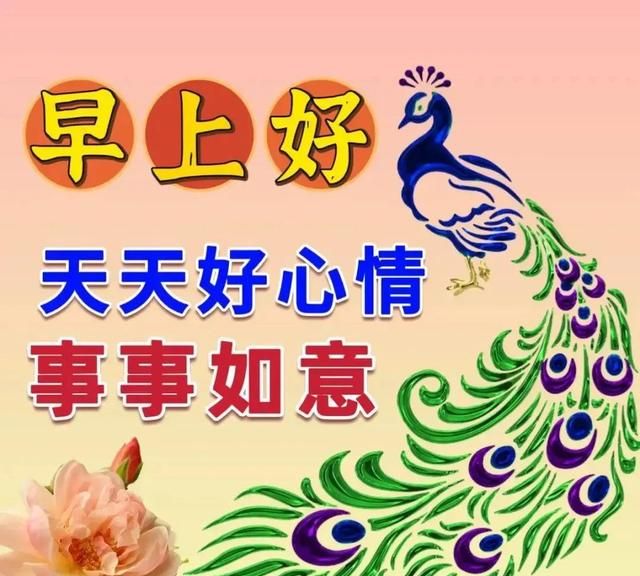 最新版最漂亮的早上好短语句子，一声问候，温暖心田