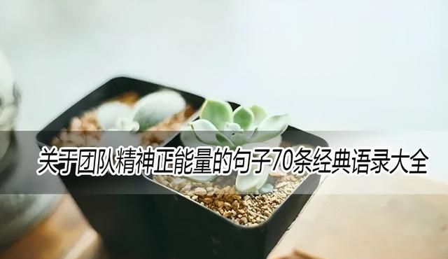 关于团队精神正能量的句子70条经典语录大全