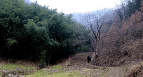 2015年，河北山村出现诡异生物，村民上山围剿失败，隔天发疯跳楼