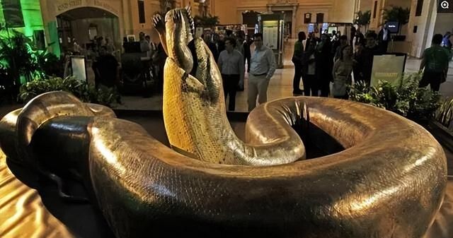 地球上真实存在过的超级巨蟒，电影大蟒蛇原型，一口可吞下巨鳄