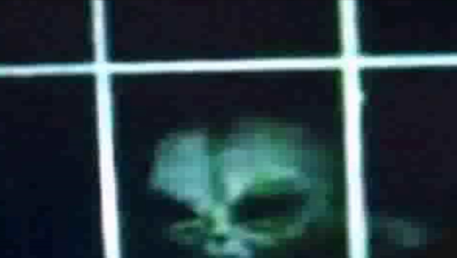 世界上所有外星人照片和ufo照片图2