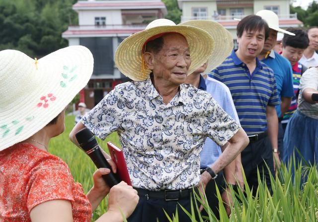 海南三亚后花园清水湾，您对它有多了解，一起进入清水湾风情