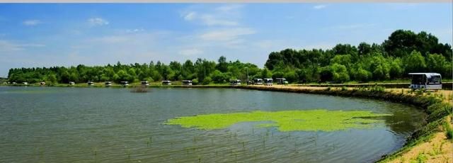 迷人的哈尔滨之夏丨漫游太阳岛湿地