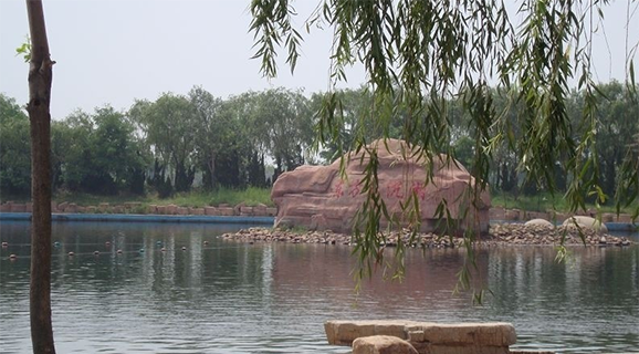 中国也有一片“死海”，位于山东境内，有东方不沉湖之称