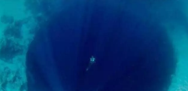 “深海恐惧症”测试，这几张图一张比一张恐怖，胆大者快看