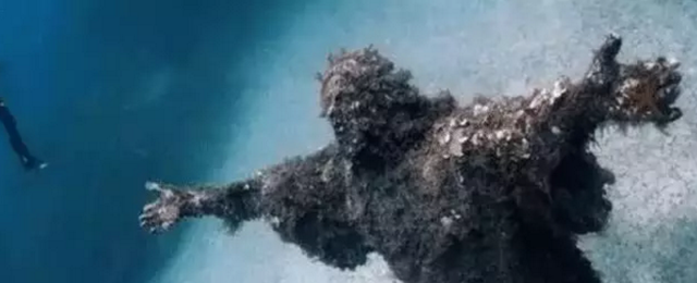 “深海恐惧症”测试，这几张图一张比一张恐怖，胆大者快看