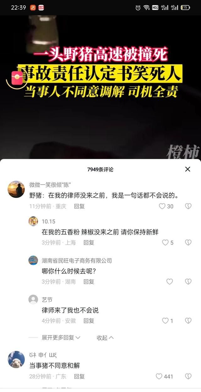 母猪被撞身亡，猪爸爸带着猪宝宝跑了当事人不同意调解，司机全责