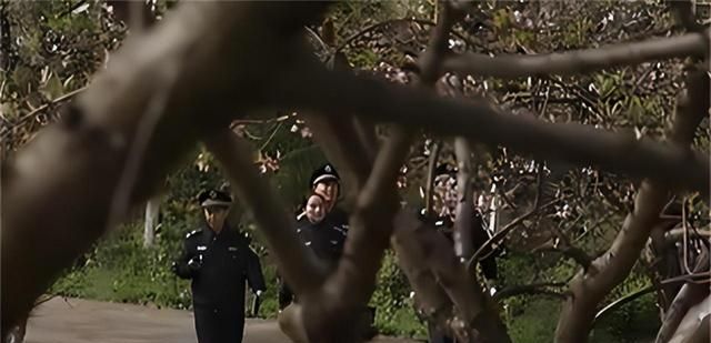 2010年湖南“橘园连环性侵案”：女警乔装诱敌，色魔身份令人吃惊