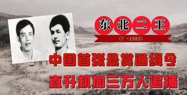 东北“二王”案件回顾：为什么案发后七个月才最终被击毙？