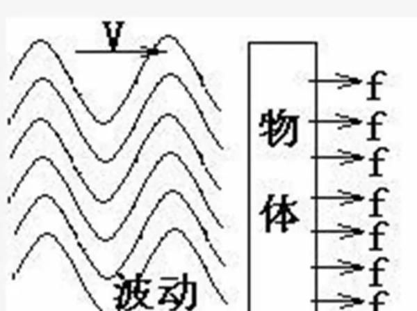 站在树荫下不仅能乘凉，还可以减重