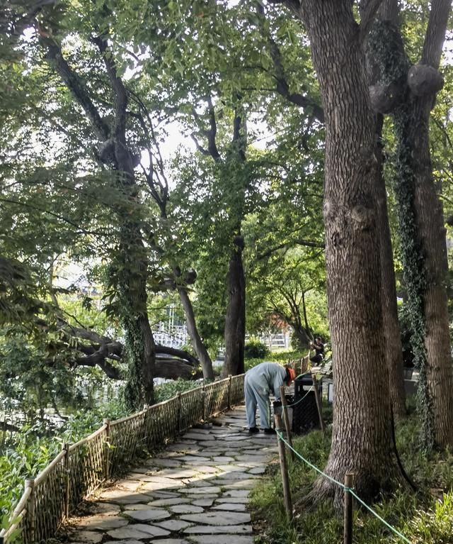 火炉武汉，酷热难耐的夏季