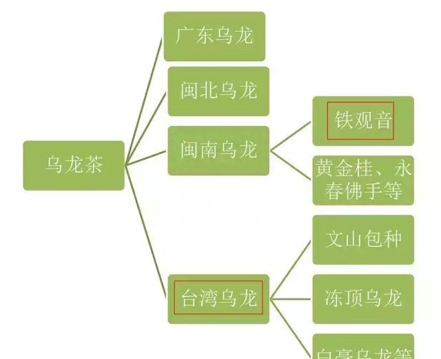 铁观音和台湾乌龙是同一品种(台湾冻顶乌龙与铁观音口感一样吗)图3