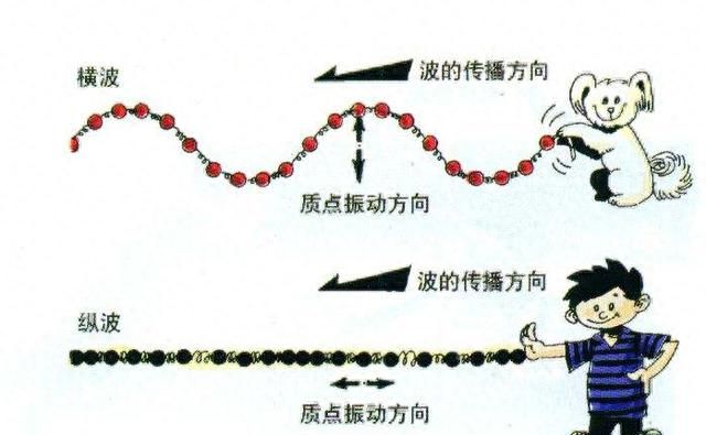 张衡发明的地震监测仪器为何叫“候风地动仪”，它的原理是什么？