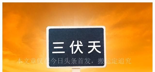 2023年“三伏天”时间表来了，总共40天，哪一天入伏？