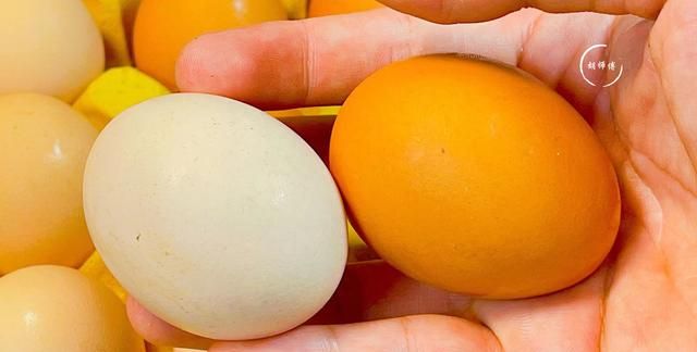 买鸡蛋时，“红壳”好还是“白壳”好？才知道，原来以前都买错了
