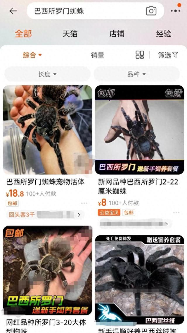 “鳄雀鳝”们的流通秘密：用空白快递单保密发货