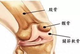 医生提醒：这个病，孩子复发的概率可高达70%！如何诊治看这里