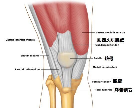 医生提醒：这个病，孩子复发的概率可高达70%！如何诊治看这里