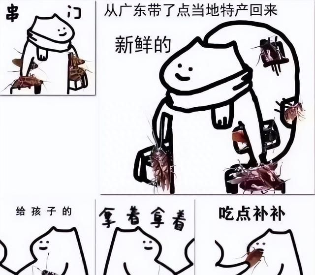 啊啊啊救命！南方蟑螂真的进军北方了！怎么办？！