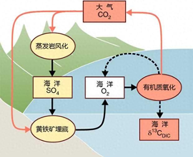 地球上的氧气是从哪儿来的？是靠绿色植物的光合作用吗？